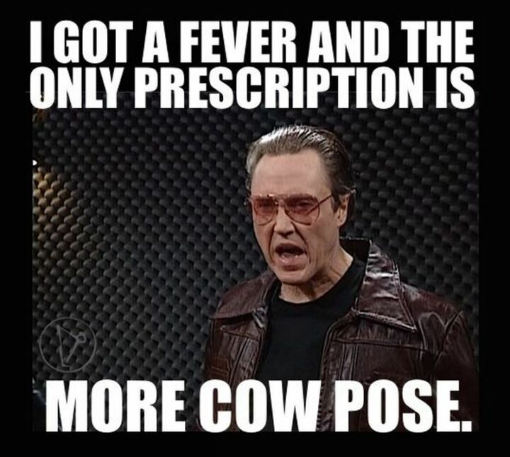 "I got a fever and the only prescription is more cow pose."