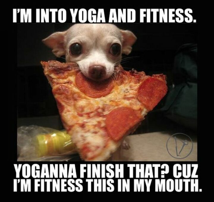 "I'm into yoga and fitness. Yoganna finish that? Cuz I'm fitness this in my mouth."
