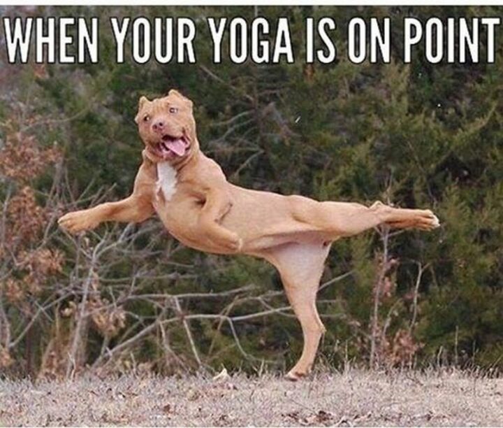 "When your yoga is on point."