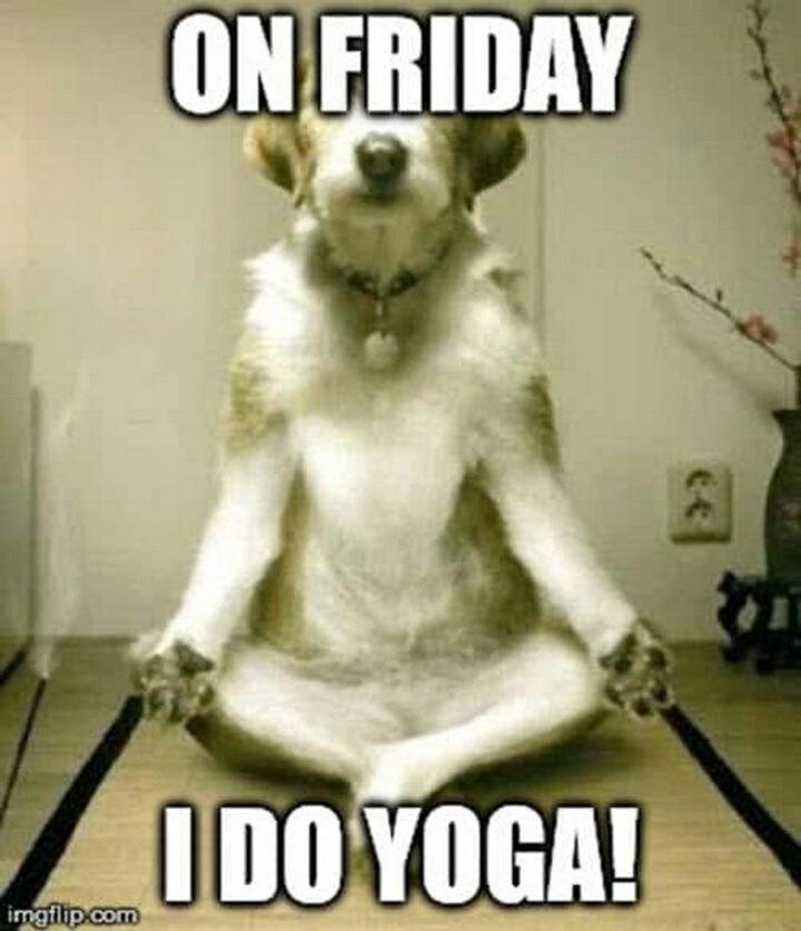 "On Friday, I do yoga!"