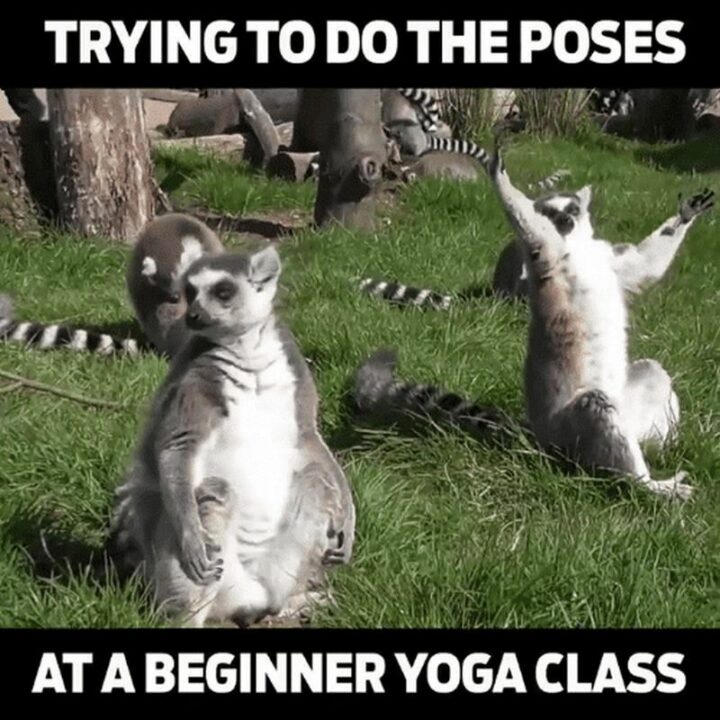 Trying to do the poses at a beginner yoga class."