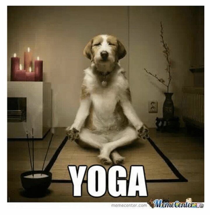 "Yoga."