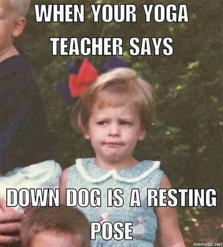 "When your yoga teacher says down dog is a resting pose."
