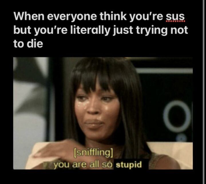 35 Funny Among Us Memes - "When everyone thinks you're sus but you're literally just trying not to die: [sniffling] You are all so stupid."