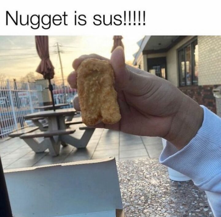 "Nugget is sus!!!!!"