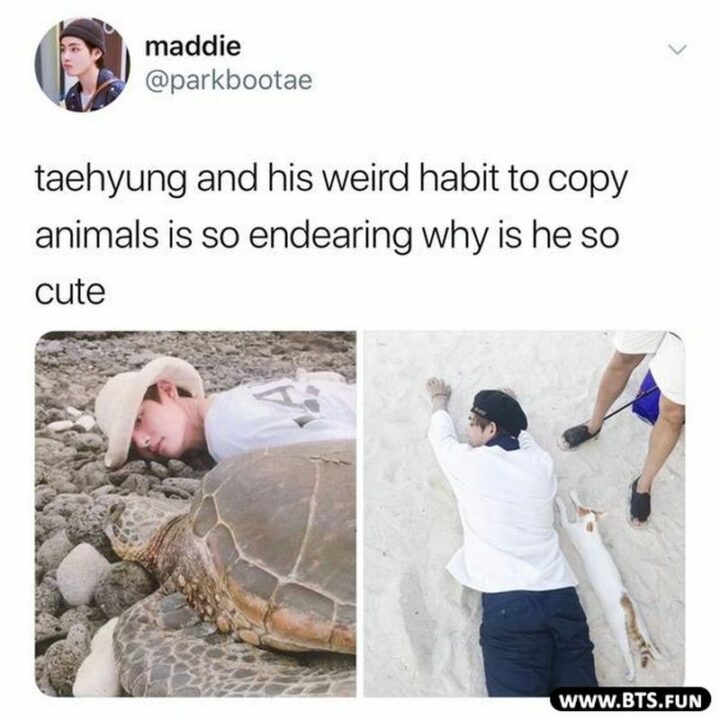 "Taehyung and his weird habit to copy animals is so endearing why is he so cute."