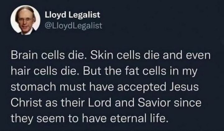 47 Funny Christian Memes - "Brain cells die. Skin cells die and even hair cells die. But the fat cells in my stomach must have accepted Jesus Christ as their Lord and Savior since they seem to have eternal life."