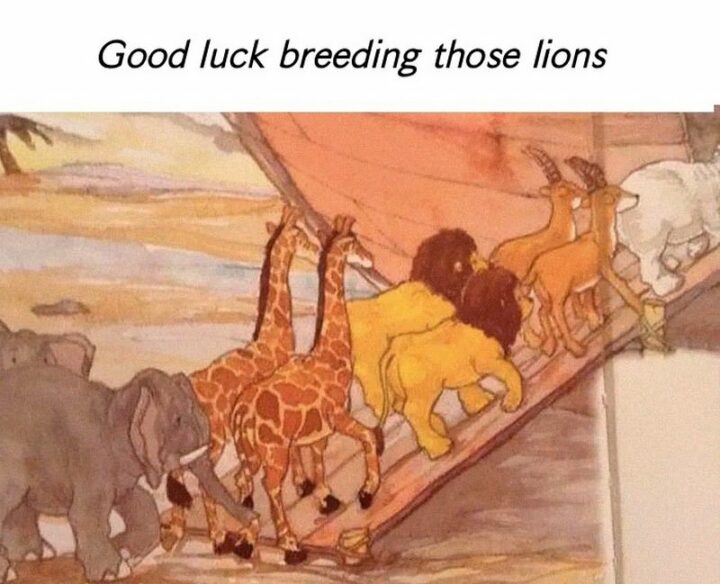 47 Funny Christian Memes - "Good luck breeding those lions."