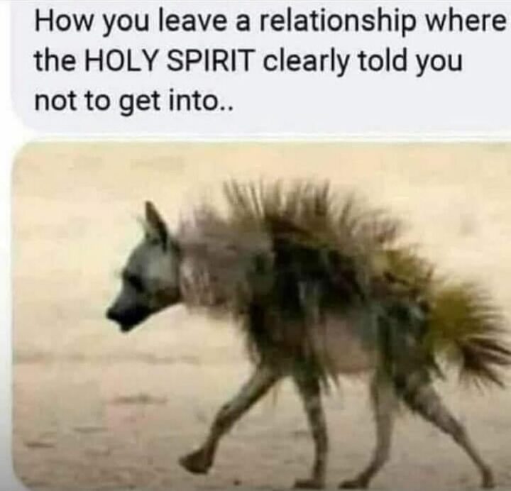 47 Funny Christian Memes - "How you leave a relationship where the holy spirit clearly told you not to get into..."