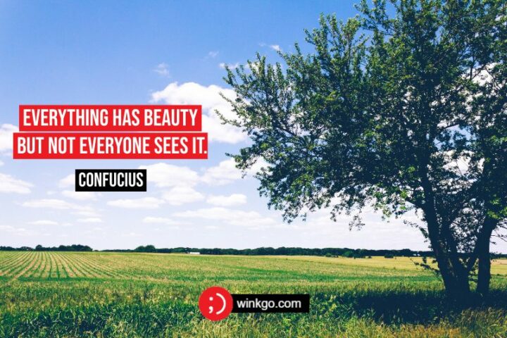 "Everything has beauty but not everyone sees it." - Confusious