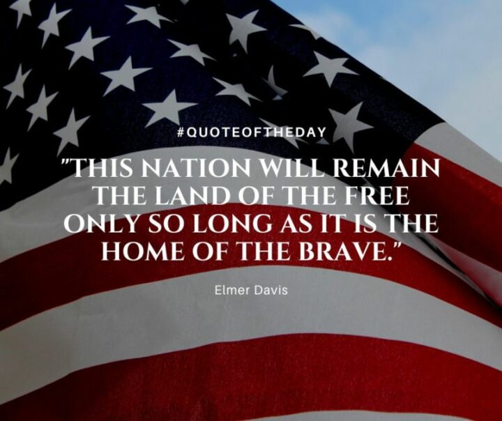 "This nation will remain the land of the free only so long as it is the home of the brave." - Elmer Davis