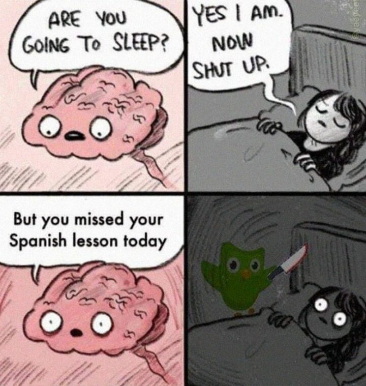 31 Funny Duolingo Memes - "Are you going to sleep? Yes, I am. Now shut up. But you missed your Spanish lesson today."