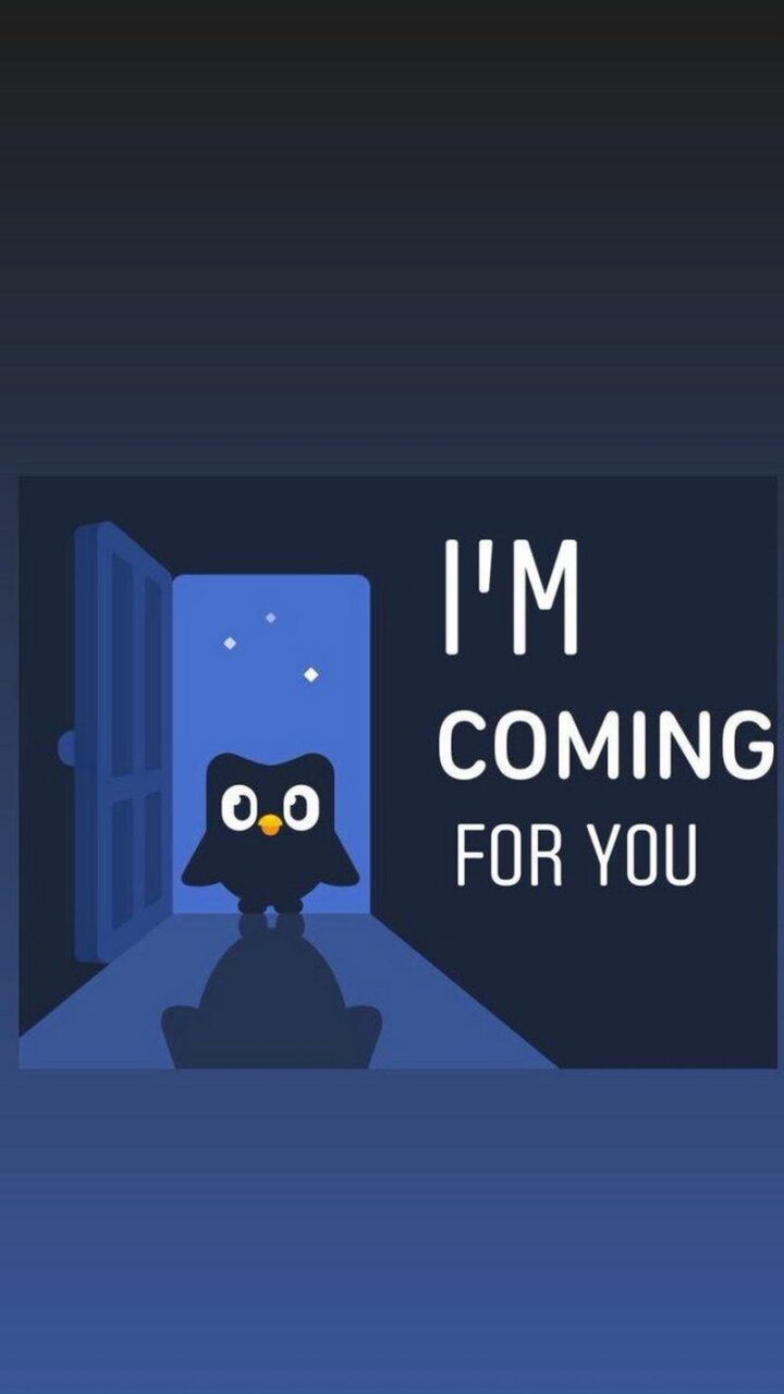 31 Funny Duolingo Memes - "I'm coming for you."