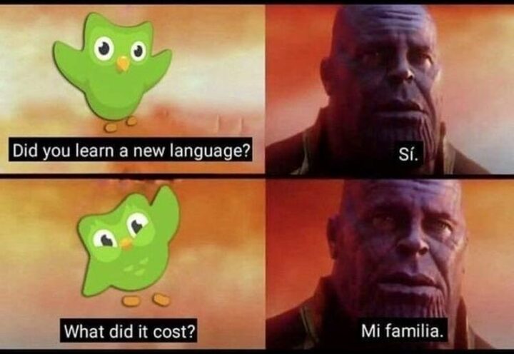 31 Funny Duolingo Memes - "Did you learn a new language? Si. What did it cost? Mi Familia."