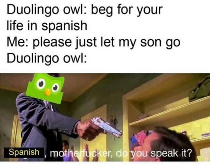 "Duolingo owl: Beg for your life in Spanish. Me: Please just let my son go. Duolingo owl: Spanish, [censored], do you speak it?"