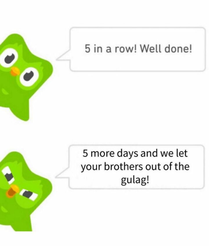 31 Funny Duolingo Memes - "5 in a row! Well done! 5 more days and we let your brothers out of the gulag!"