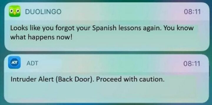 "Looks like you forgot your Spanish lessons again. You know what happens now! Intruder Alert (Back Door). Proceed with caution."