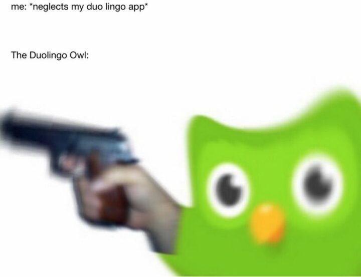 "Me: *neglects my duo lingo app*. The Duolingo Owl:"