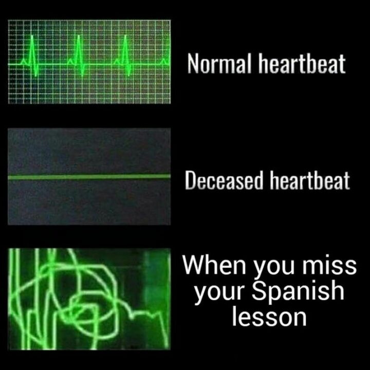 "Normal heartbeat. Deceased heartbeat. When you miss your Spanish lesson."