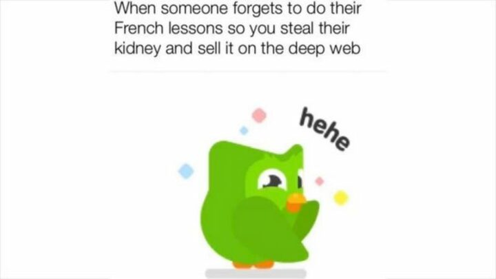 "When someone forgets to do their French lessons so you steal their kidney and sell it on the deep web: Hehe."