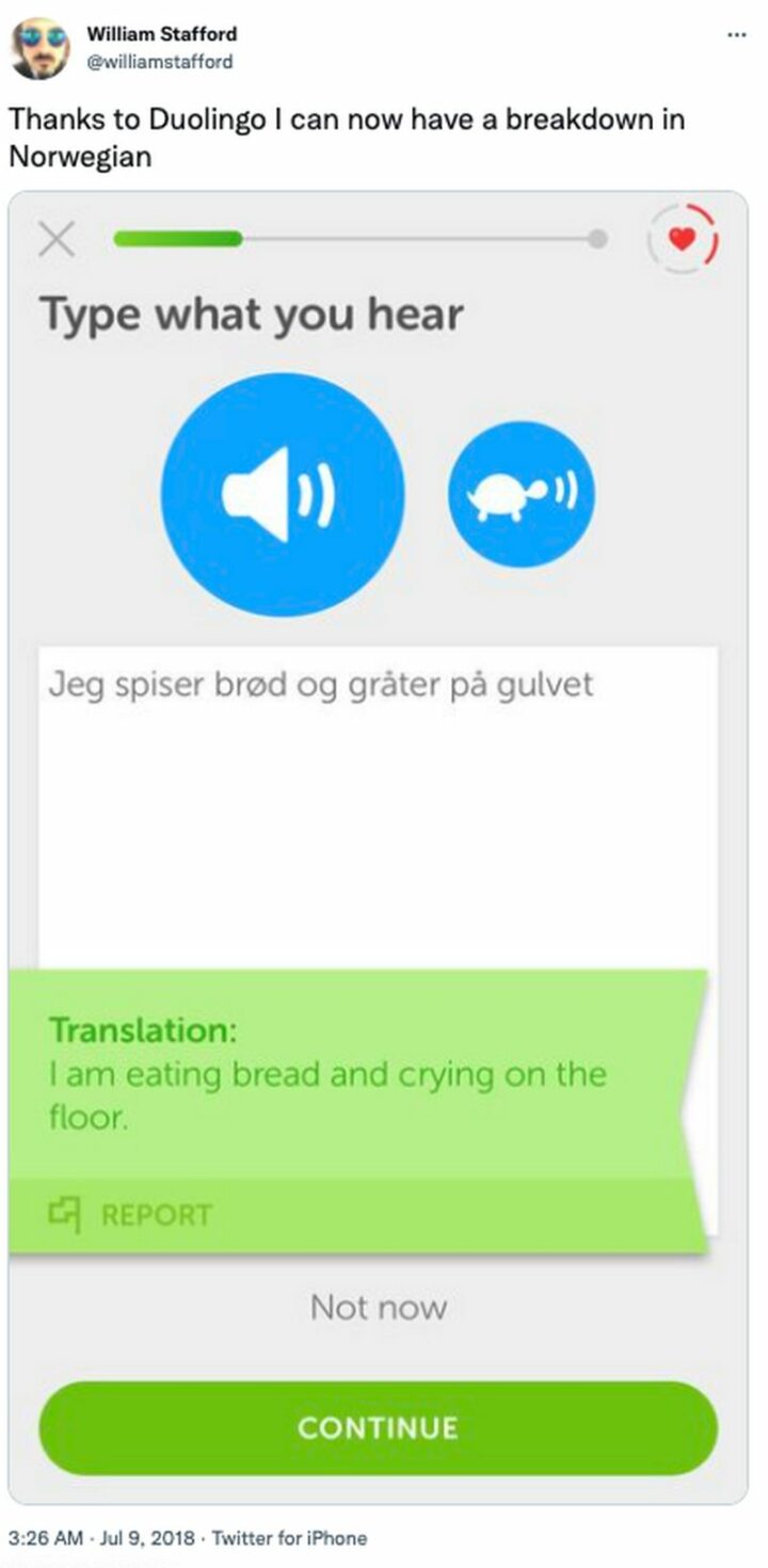"Thanks to Duolingo I can now have a breakdown in Norwegian. Type what you hear. Translation: I am eating bread and crying on the floor."