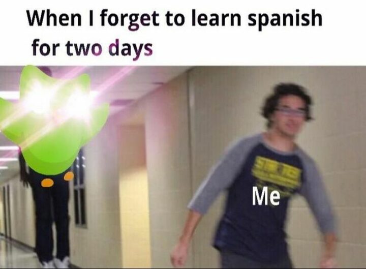 "When I forget to learn Spanish for two days: Me."