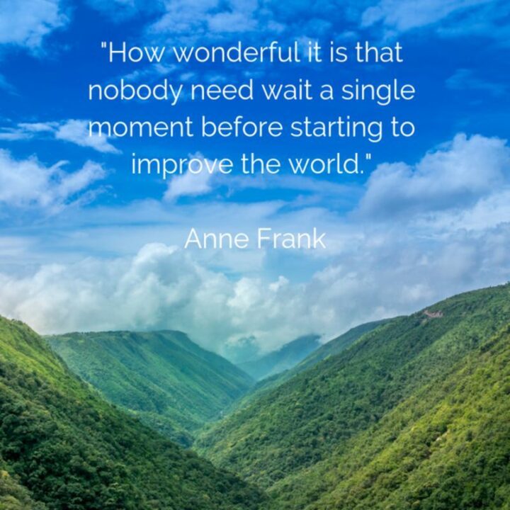 "How wonderful it is that nobody need wait a single moment before starting to improve the world." - Anne Frank