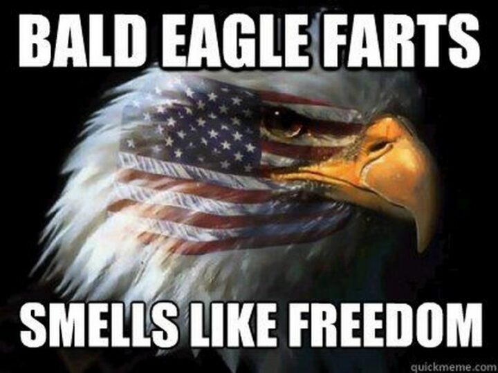 37 Happy Fourth of July Memes - "Bald eagle farts. Smells like freedom."