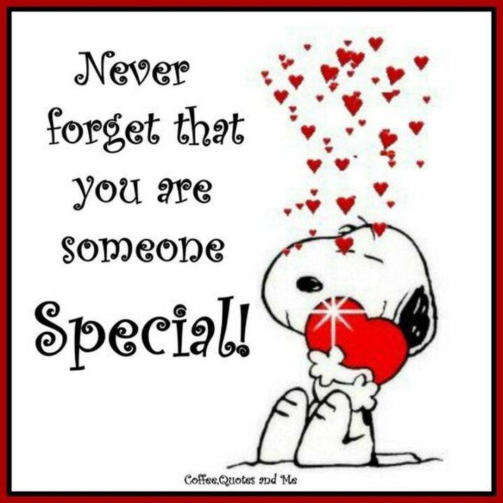 31 Funny Cartoon Quotes - "Never forget that you are someone special!" - Snoopy
