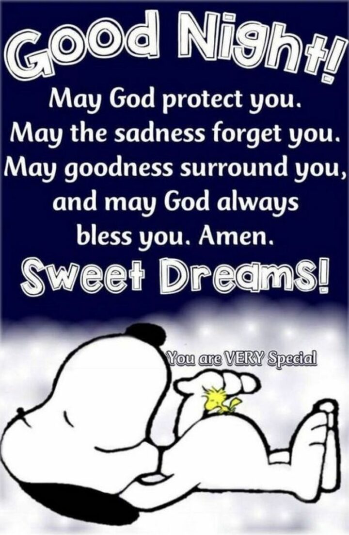 31 Funny Cartoon Quotes - "Good night! May God protect you. May the sadness forget you. May goodness surround you, and may God always bless you. Amen. Sweet dreams! You are very special." - Snoopy