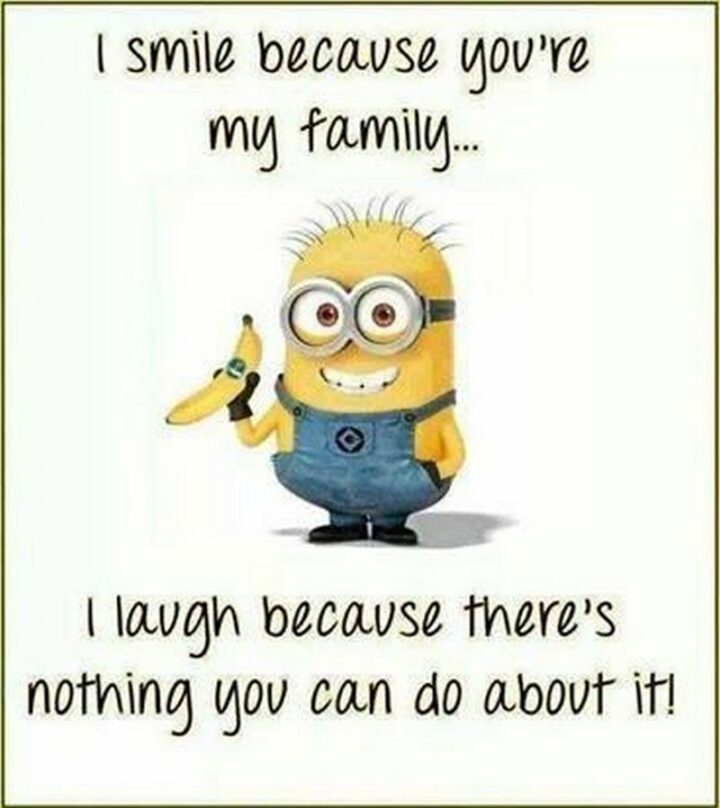 31 Funny Cartoon Quotes - "I smile because you're my family...I laugh because there's nothing you can do about it!" - Minions