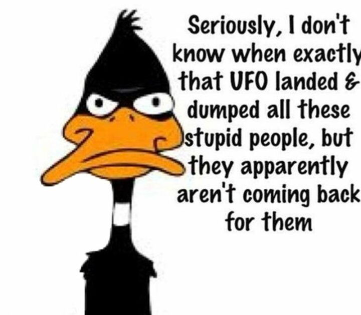 "Seriously, I don't know when exactly that UFO landed and dumped all these stupid people, but they apparently aren't coming back for them." - Daffy Duck