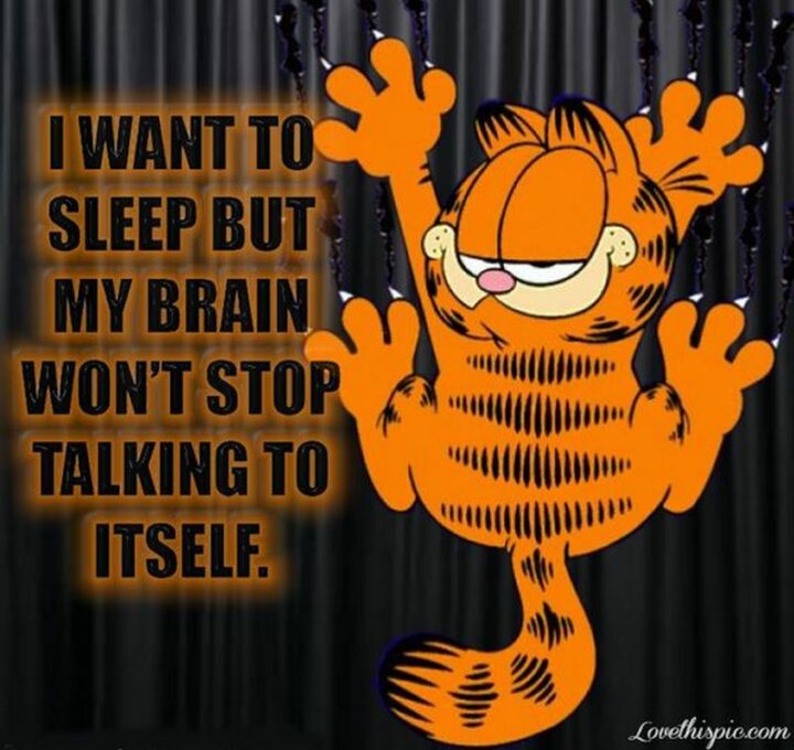 "I want to sleep but my brain can't stop talking to itself." - Garfield