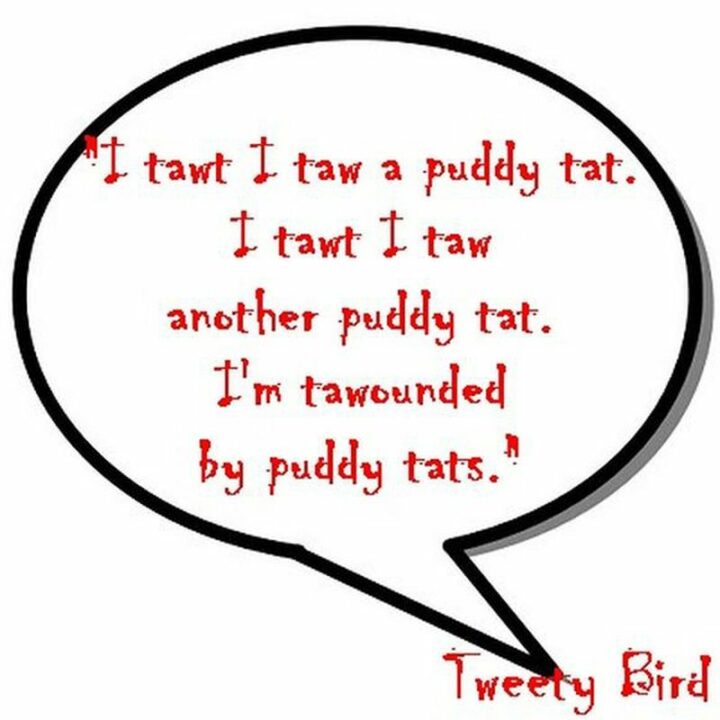 "I tawt I taw a puddy tat. I tawt I taw another puddy tat. I'm tawounded by puddy tats." - Tweety Bird