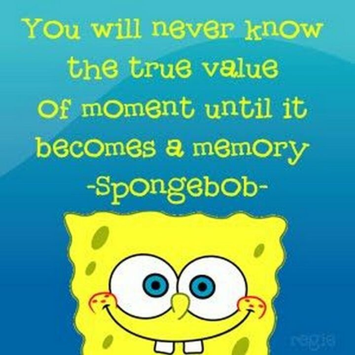 "You will never know the true value of a moment until it becomes a memory." - SpongeBob