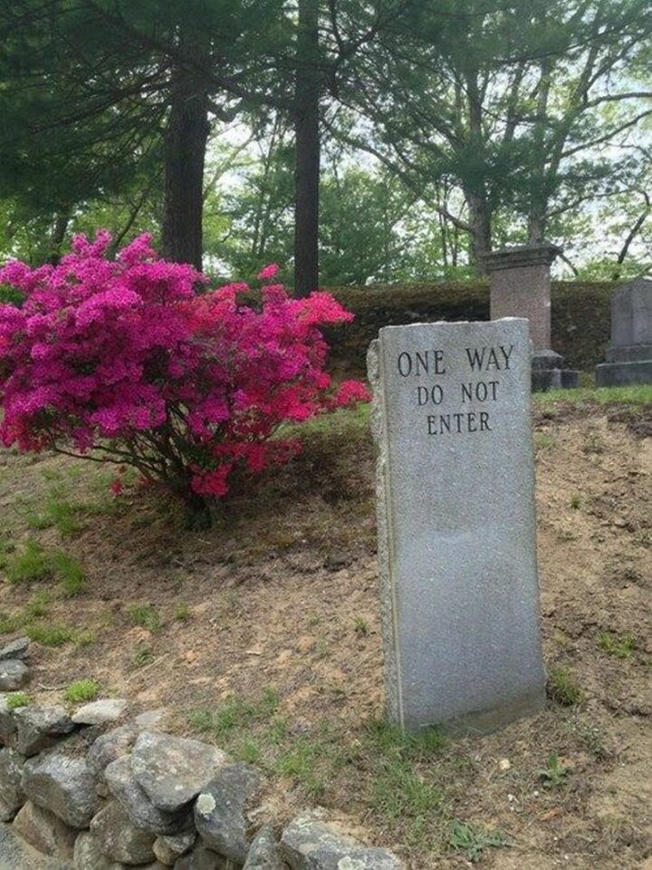 "One way. Do not enter."