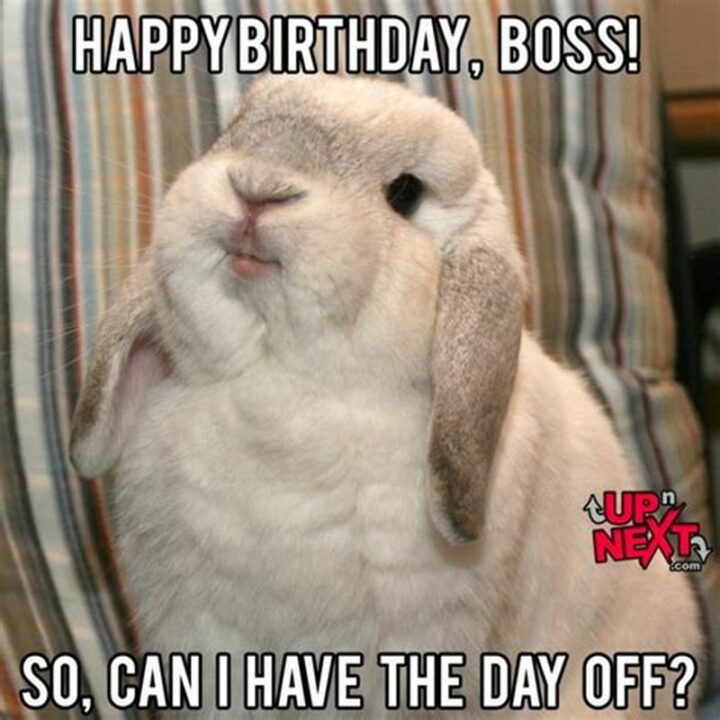 "Happy birthday, boss! So, can I have the day off?"