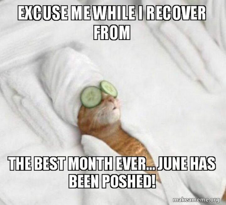 "Excuse me while I recover from the best month ever...June has been poshed!"