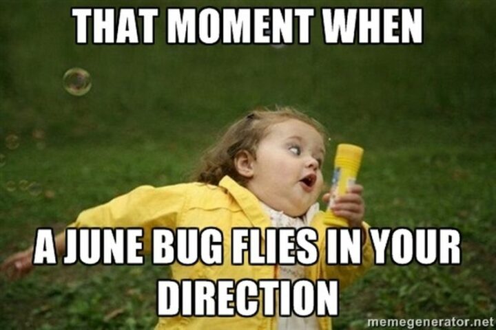 "That moment when a June bug flies in your direction."