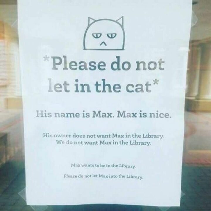 "*Please do not let in the cat* His name is Max. Max is nice. His owner does not want Max in the library. We do not want Max in the library. Max wants to be in the library. Please do not let Max into the library."
