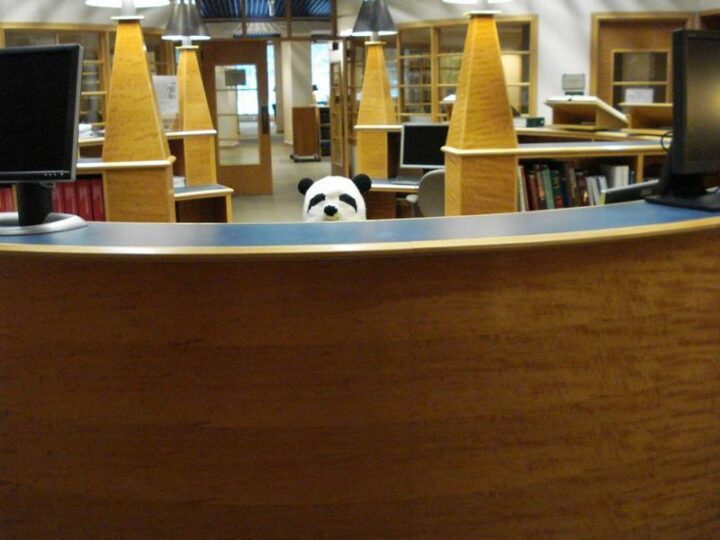 "Sometimes I wear my panda hat to work. This is what it looks like to everyone walking into the library."