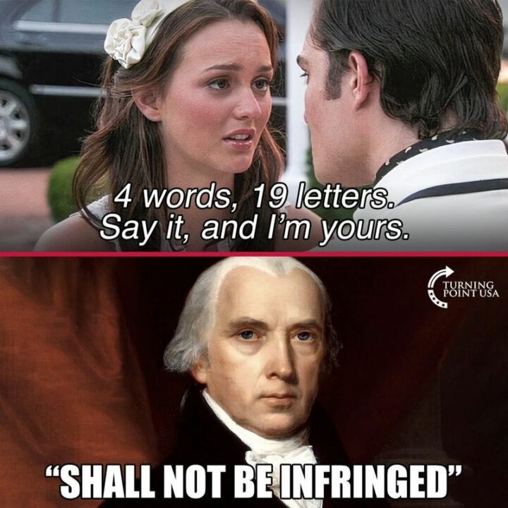 33 Political Memes - "4 words, 19 letters. Say it, and I'm yours. Shall not be infringed."
