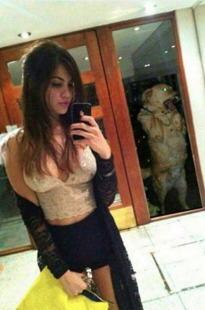 "Even this dog is sick of her $#!T."