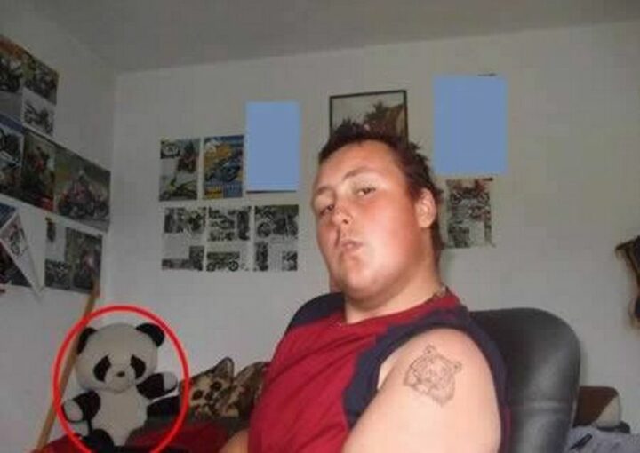Selfie fails with stuffed animals.