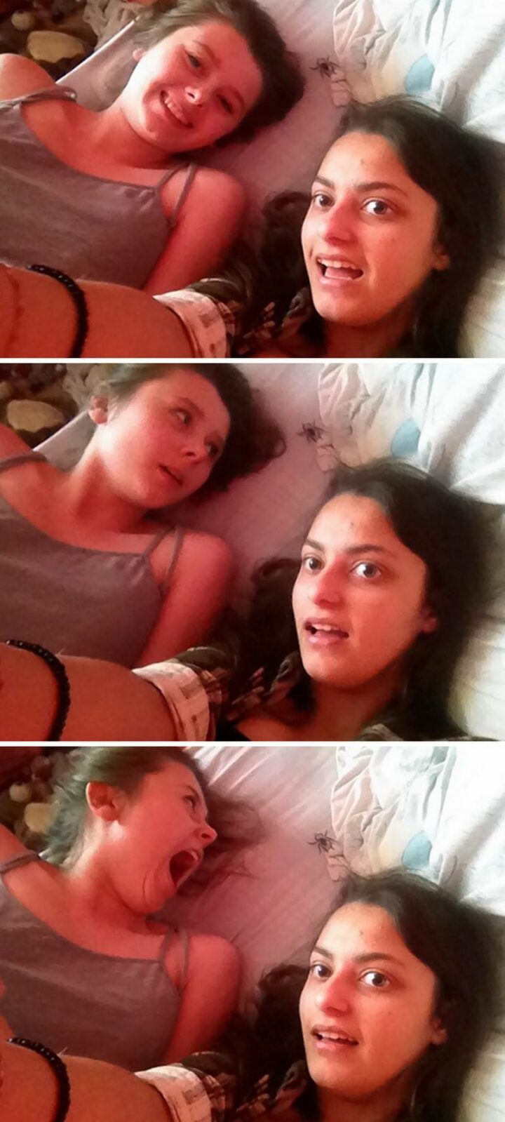 Selfie fails with a spider.