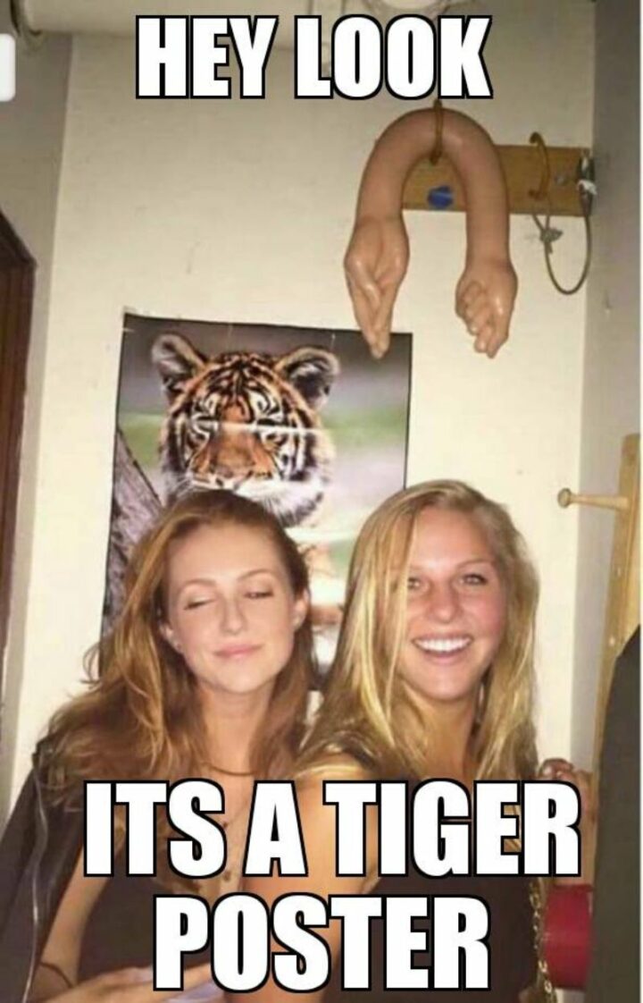 "Hey look, it's a tiger poster."
