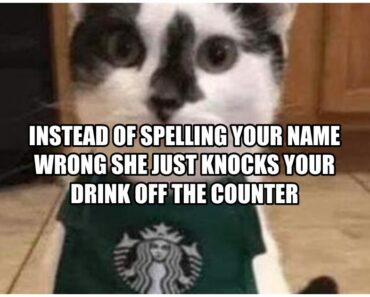 33 Funny Starbucks Memes for Grande Laughs