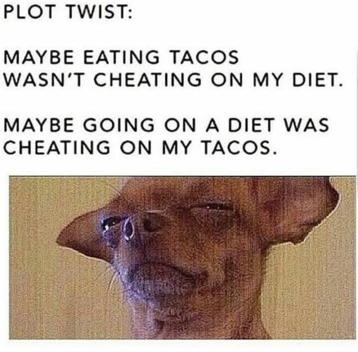 "Plot twist: Maybe eating tacos wasn't cheating on my diet. Maybe going on a diet was cheating on my tacos."