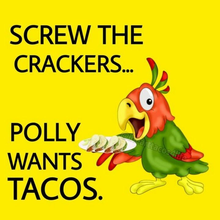 "Screw the crackers...Polly wants tacos."
