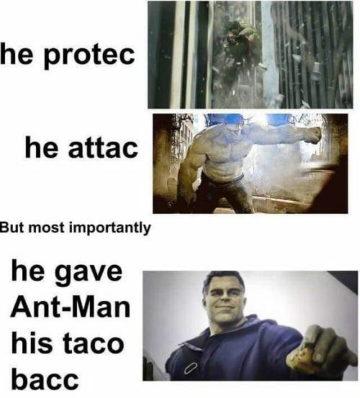27 Avengers Memes - "He protects. He attacks. But most importantly he gave Ant-Man his taco back."